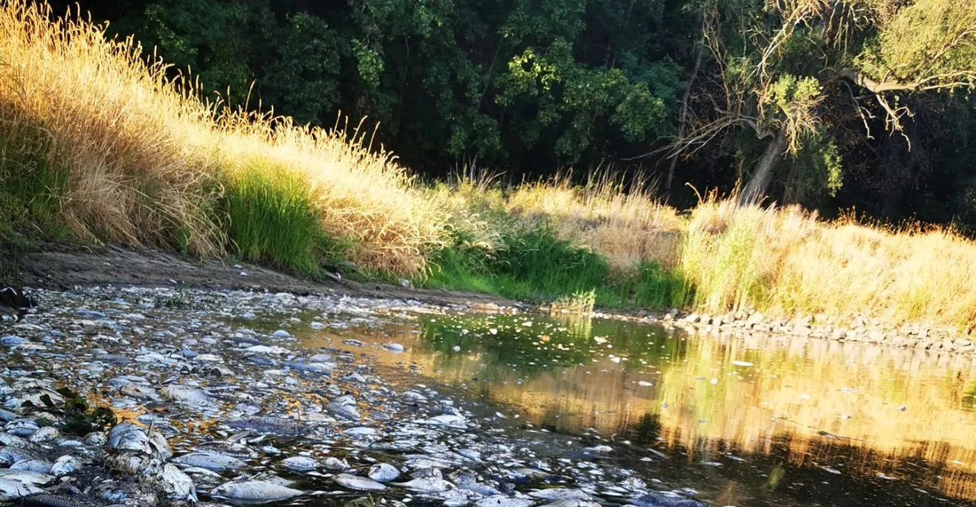 Golińska ws. Odry: Przeciwnik, z którym się mierzymy jest trudny