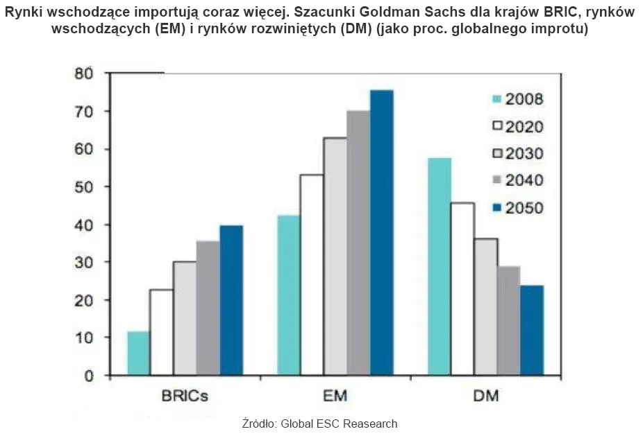 rynki_wschodzace_importuja_coraz_wiecej_szacunki_goldman_sachs_dla_krajow_bric_em_dm_191245.jpg