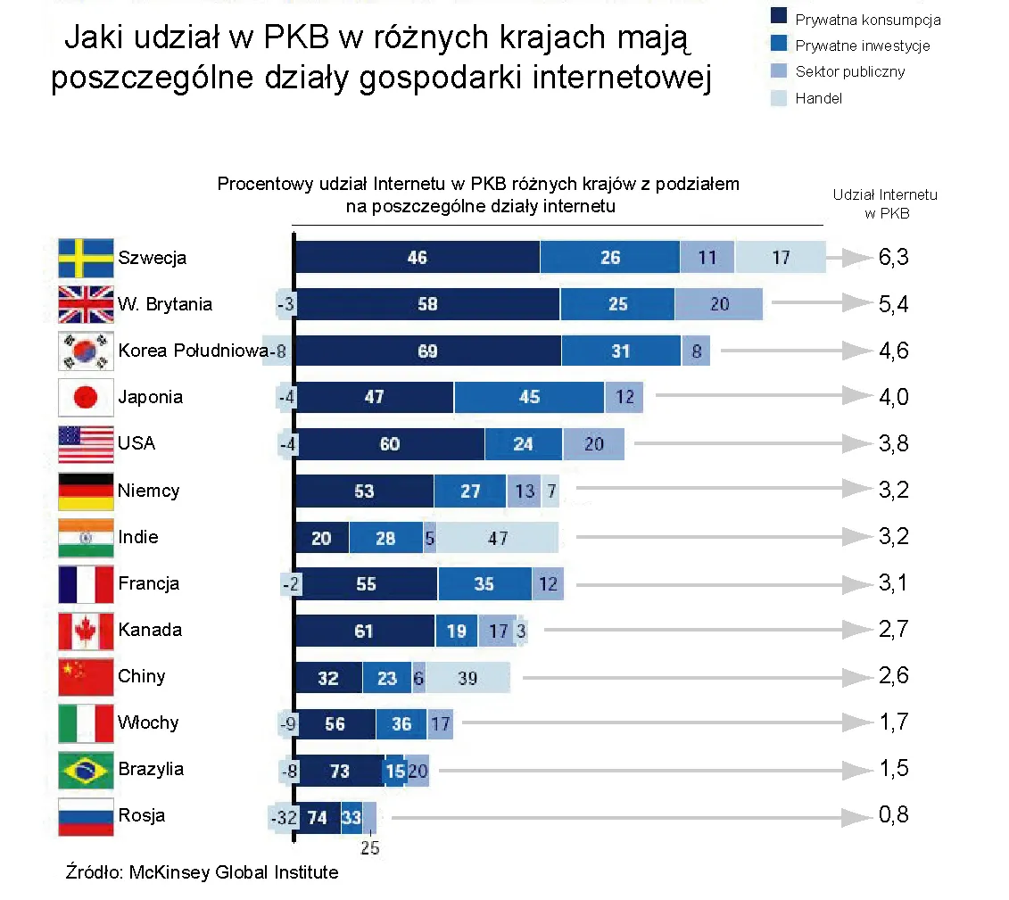 Internet to siła. Gospodarka wirtualna sprzyja krajom rozwiniętym