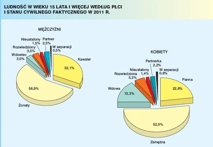 923729-ludnosc-w-wieku-15-lat-i-wiecej-wedlug-plci-i-stanu-cywilnego-faktycznego-w-2011-roku.jpg