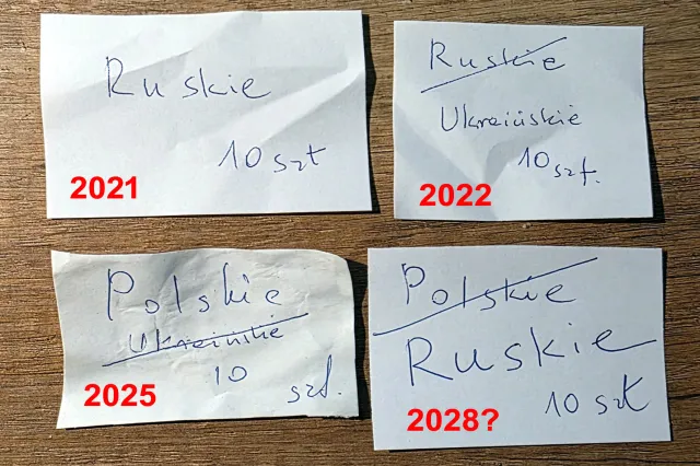 Pierogi polskie i ruskie drony wybuchające w głowach owiec płci męskiej. Jak Putin próbuje wygrać wojnę hybrydową w sieci i realu