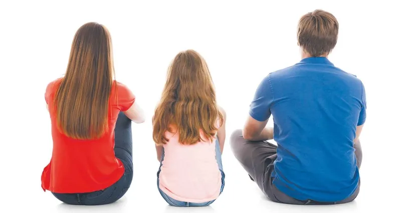 Państwo i prawo wobec przemocy domowej. Prawo, polityka społeczna, dobre praktyki