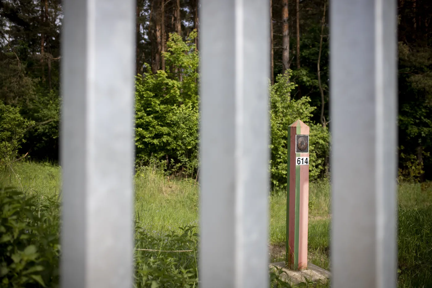 Na granicy, czyli w kalejdoskopie. Ilu naprawdę migrantów zaginęło? [WYWIAD]