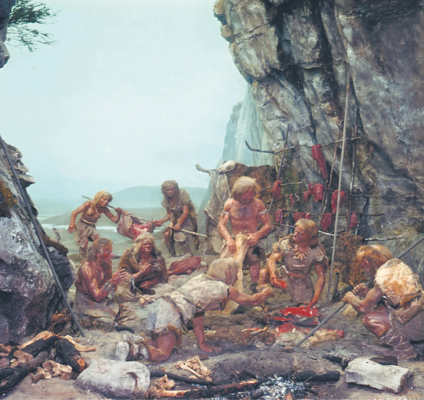 Powrót spanikowanego troglodyty