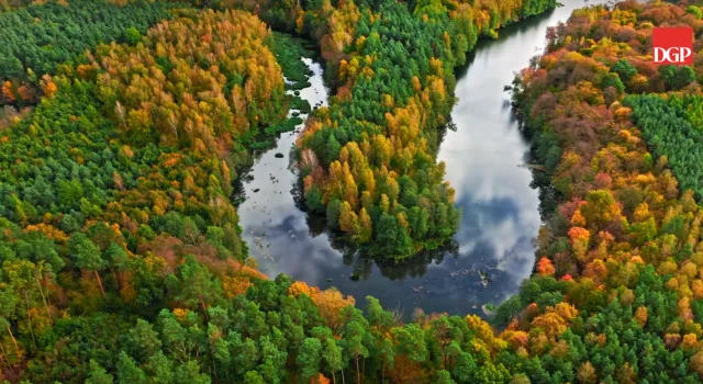 MKiŚ: Jesienią do konsultacji trafi strategia ochrony mokradeł w Polsce