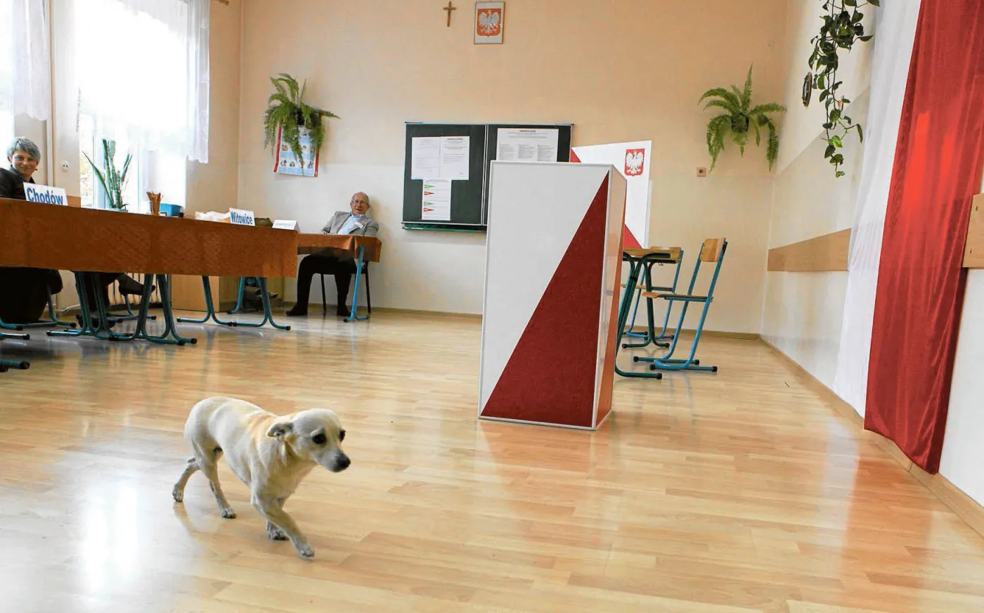 Jak gniją samorządy