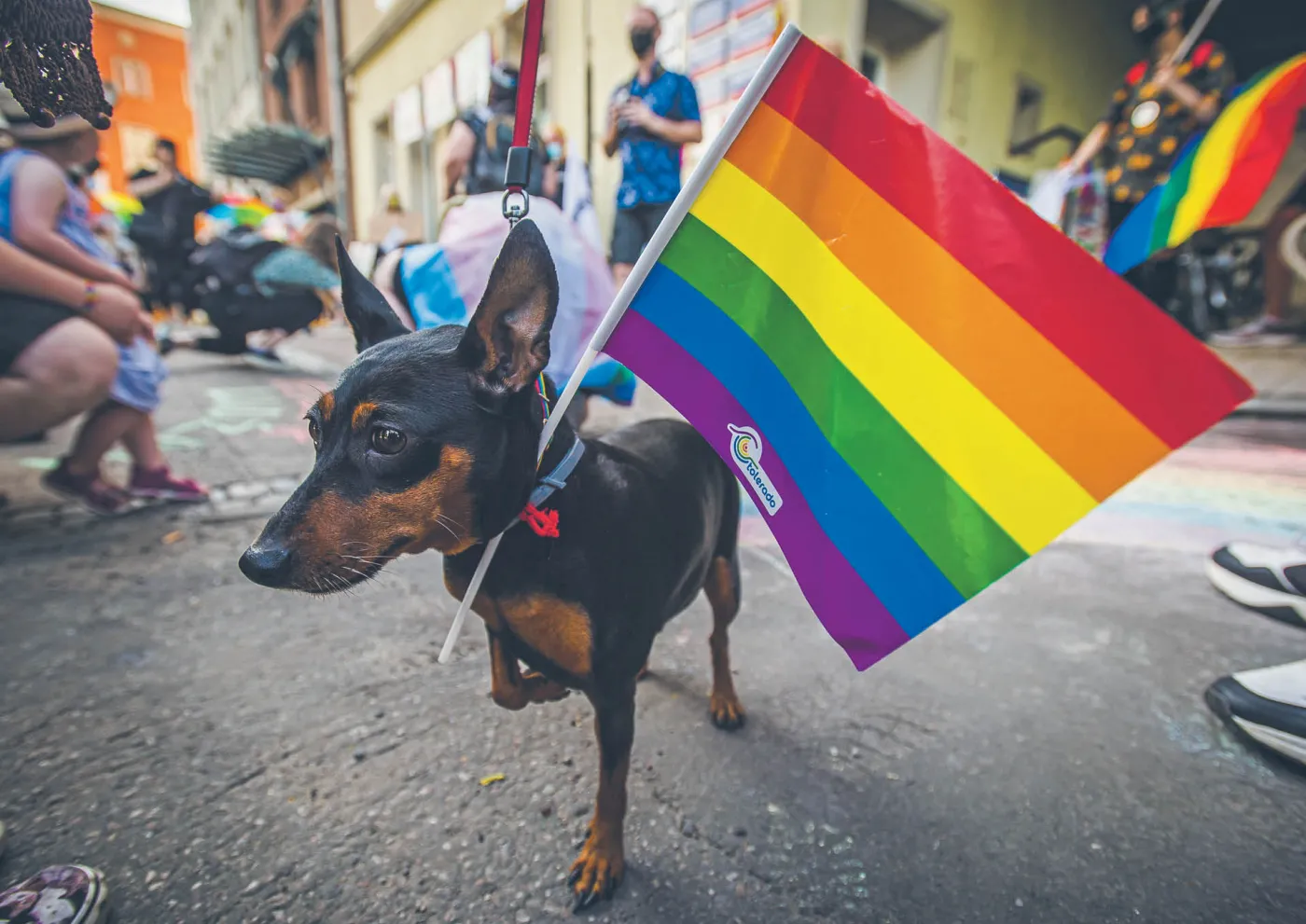 LGBT to nowa religia