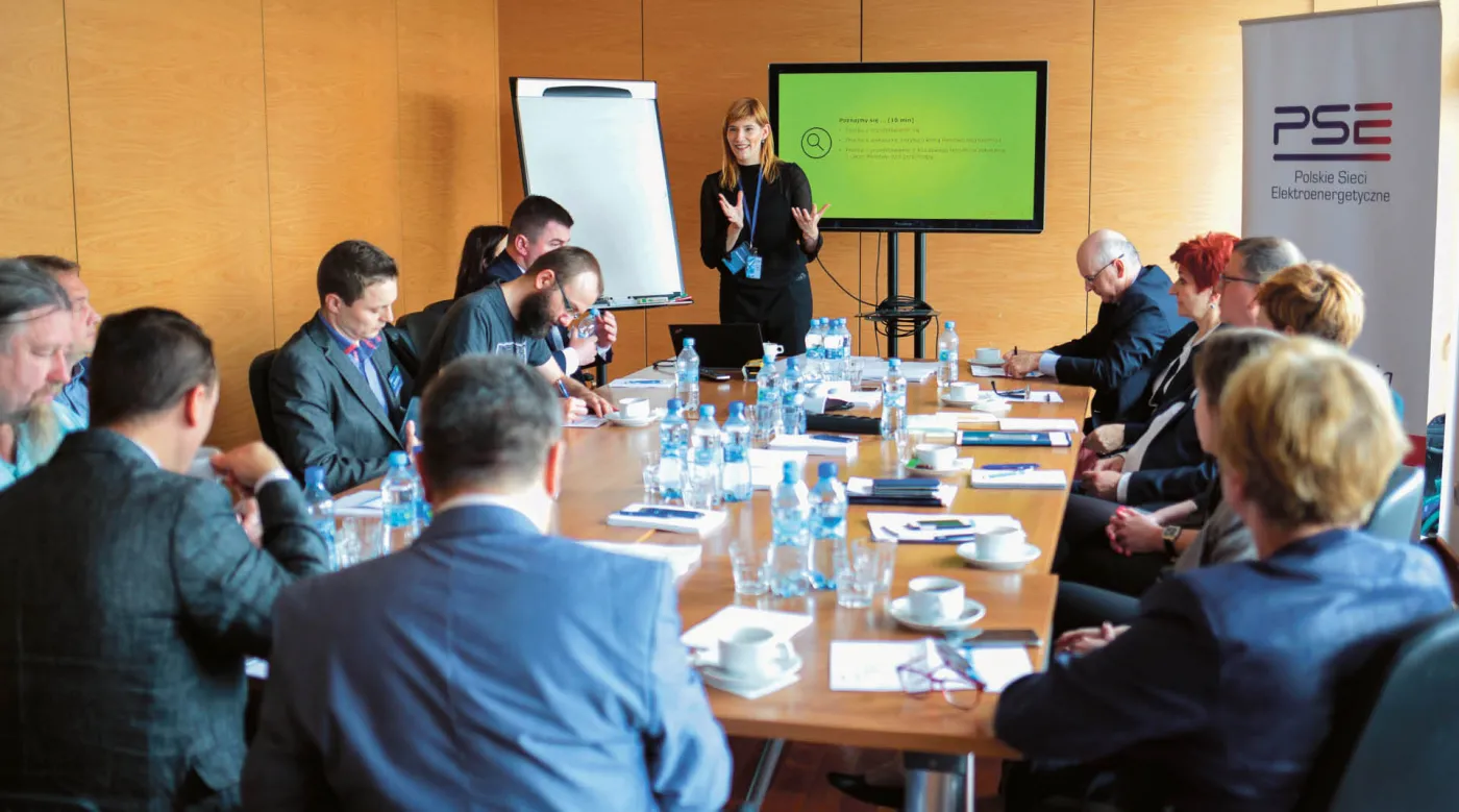 Polskie Sieci Elektroenergetyczne - mamy wpływ!