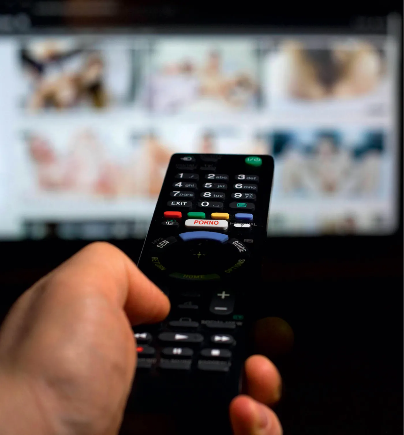 Partia władzy kontra porno
