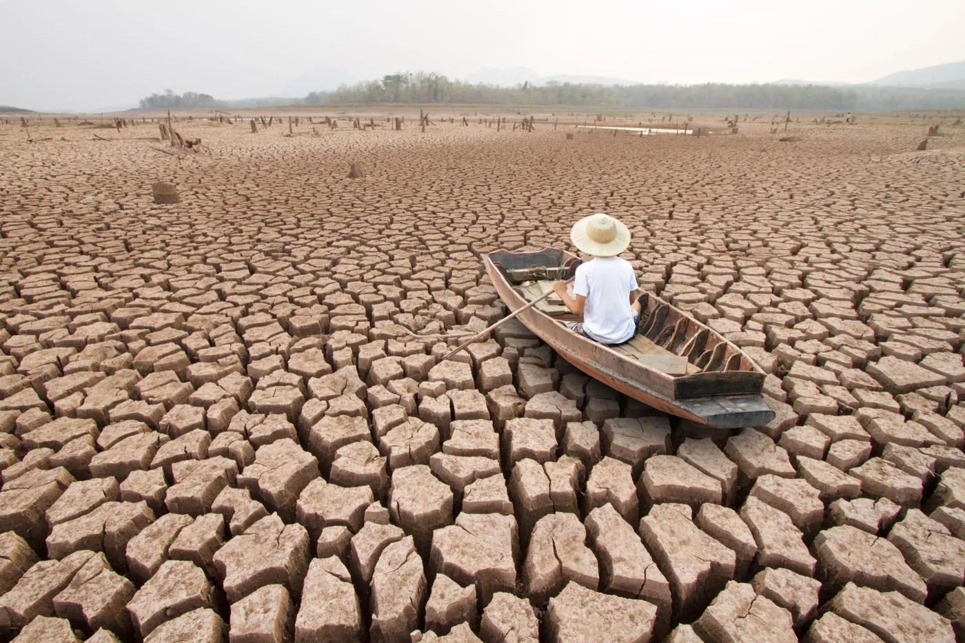 Nadchodzą kolejne rekordy temperatur. Polska szykuje strategię adaptacji do zmian klimatu