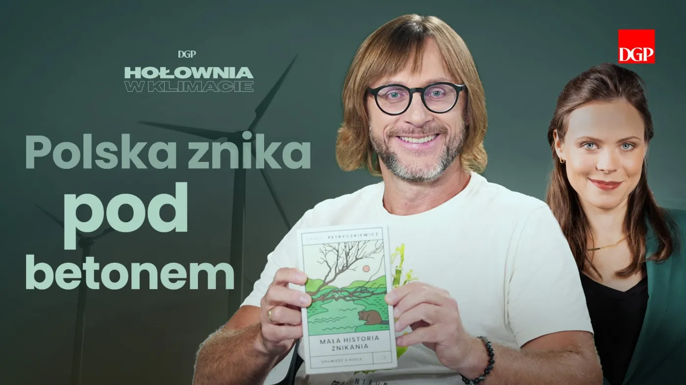 „Skrawki” przyrody znikają najszybciej. Daniel Petryczkiewicz: „Zielone zamienia się w szare” [HOŁOWNIA W KLIMACIE #31]