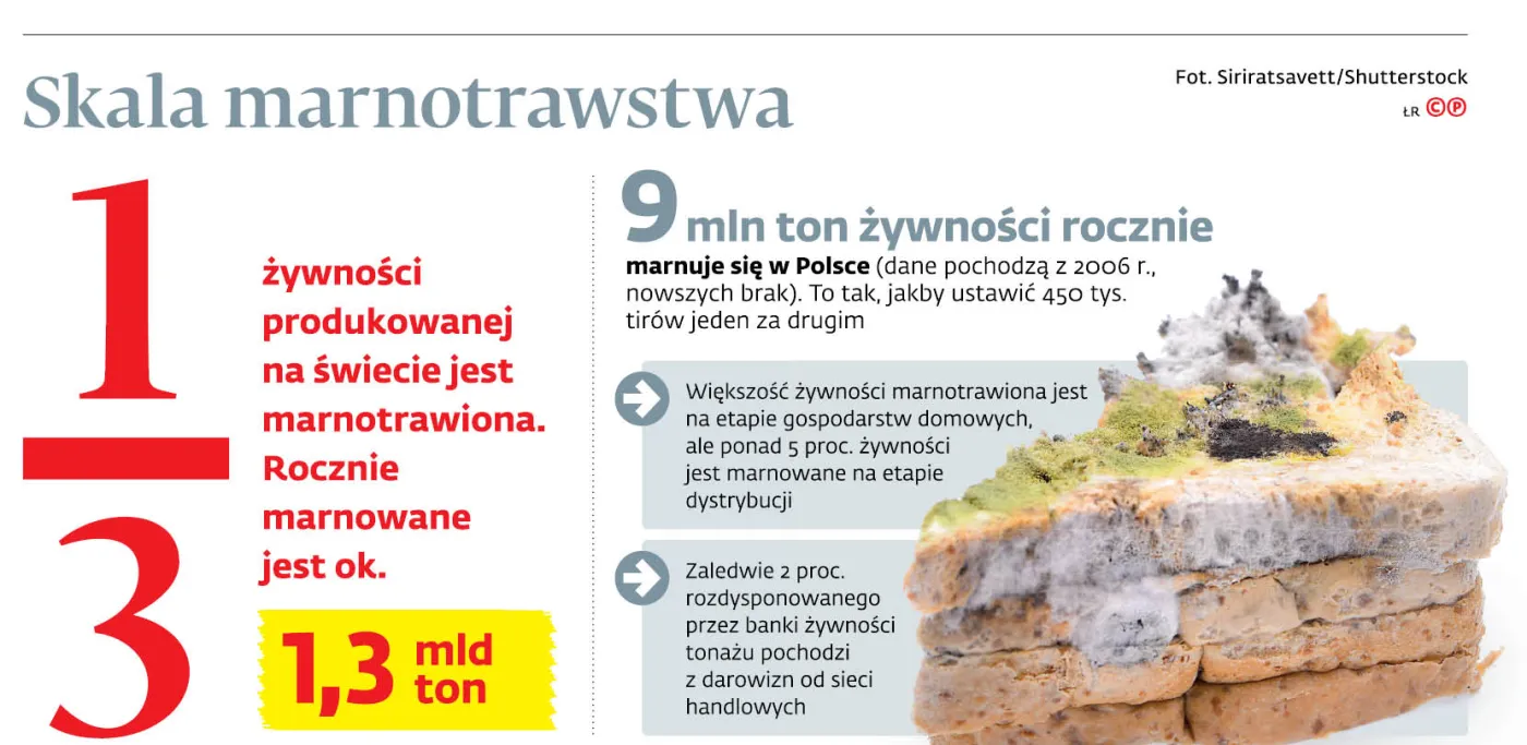Skala marnotrawstwa