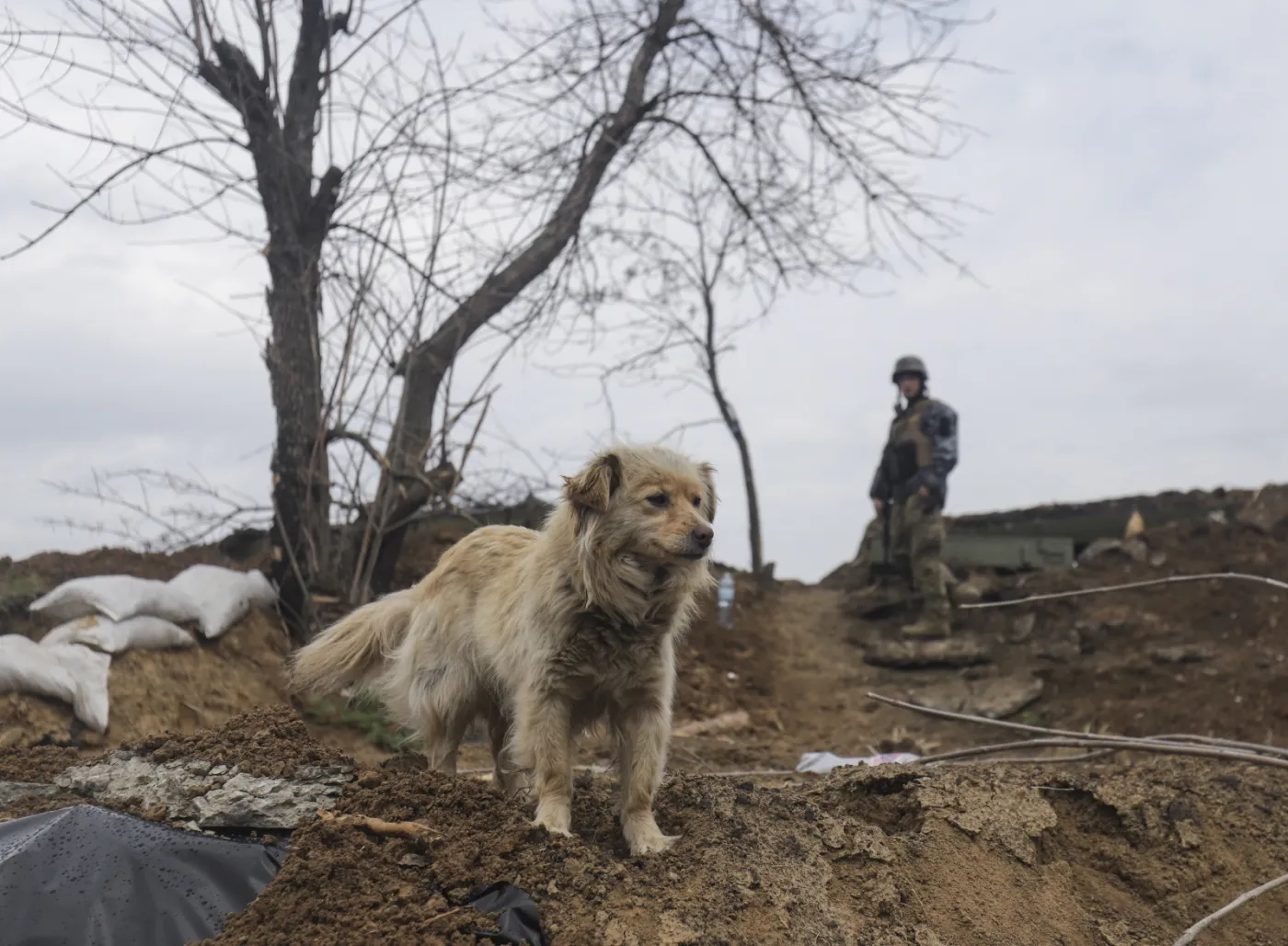 Rozpoczęła się bitwa o Donbas. Czy rozstrzygnie losy wojny?