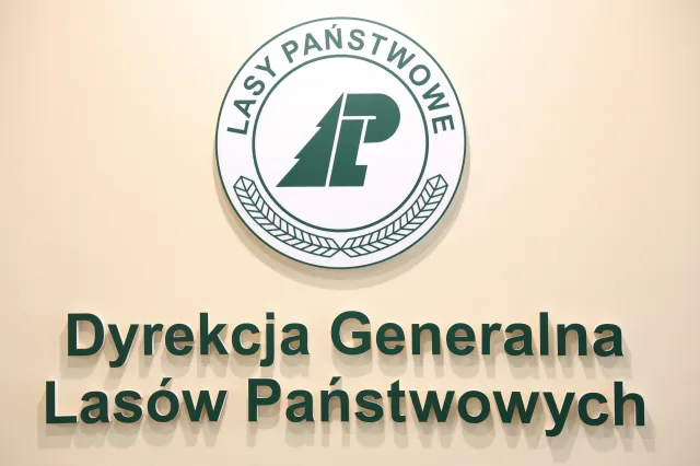 Miliony dla parafii polityków i swoich mediów. Są wstępne wyniki audytu w Lasach Państwowych