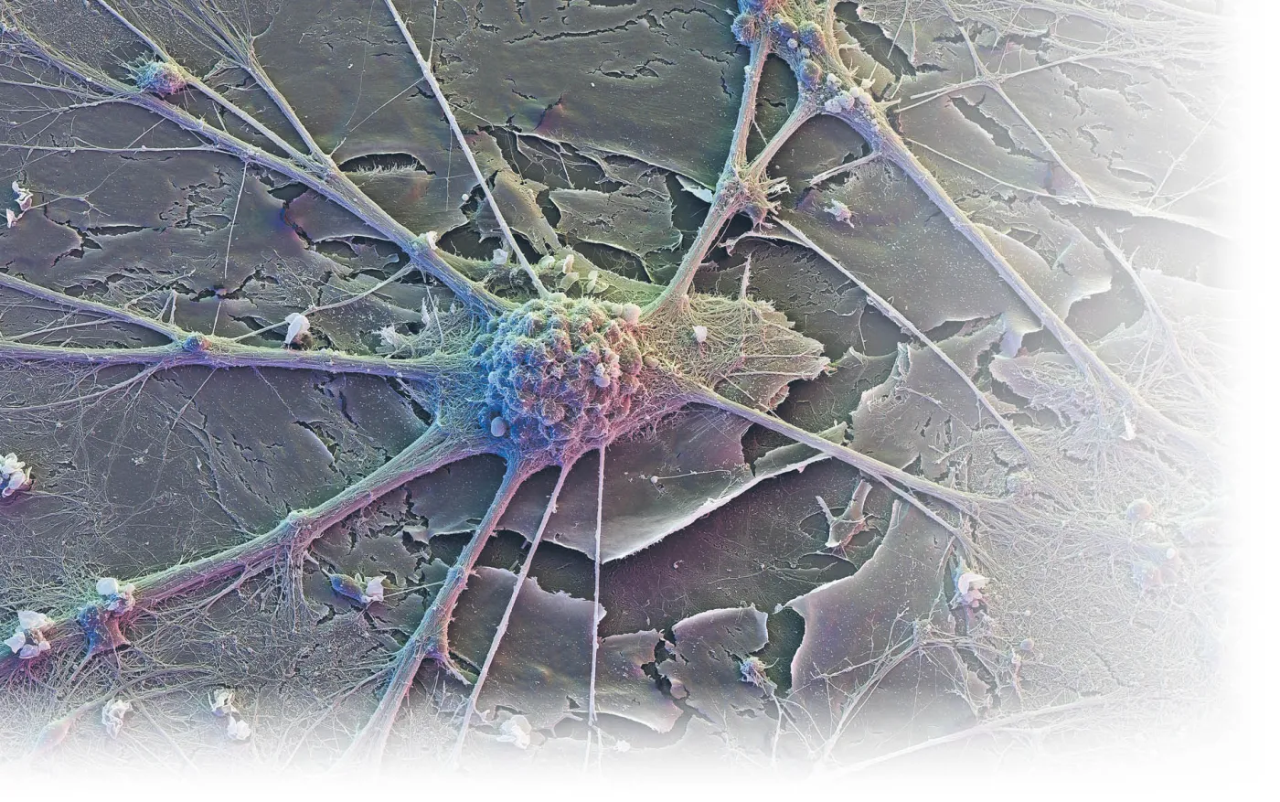 Biomedycyna: następna generacja