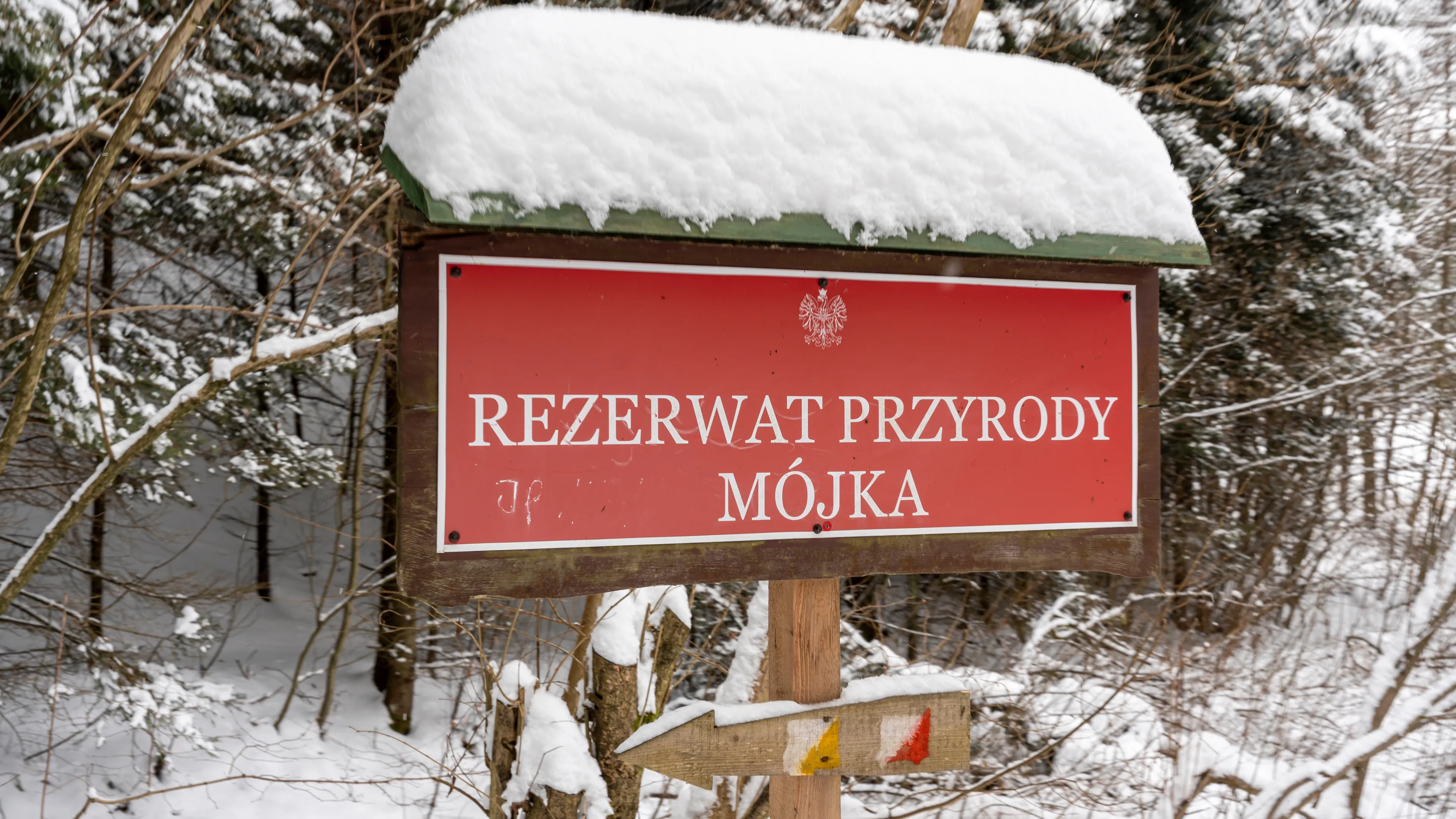 Setki naukowców protestują przeciwko zmianom w ochronie przyrody. „To koniec nowych rezerwatów w Polsce”