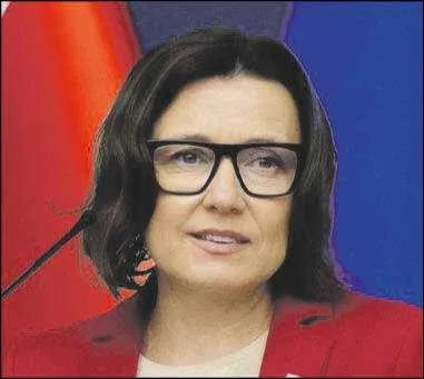dr Katarzyna Smyk, Przedstawicielstwo KE w Polsce