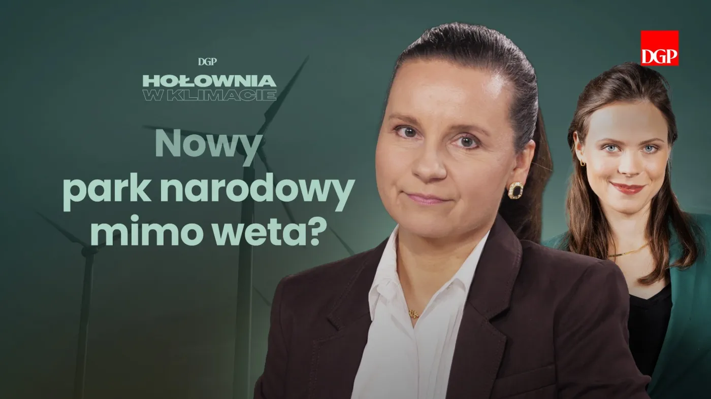 Weto nie zatrzyma ochrony przyrody? Urszula Zielińska: Niewystarczająco chronimy nasze dziedzictwo przyrodnicze [HOŁOWNIA W KLIMACIE #36]