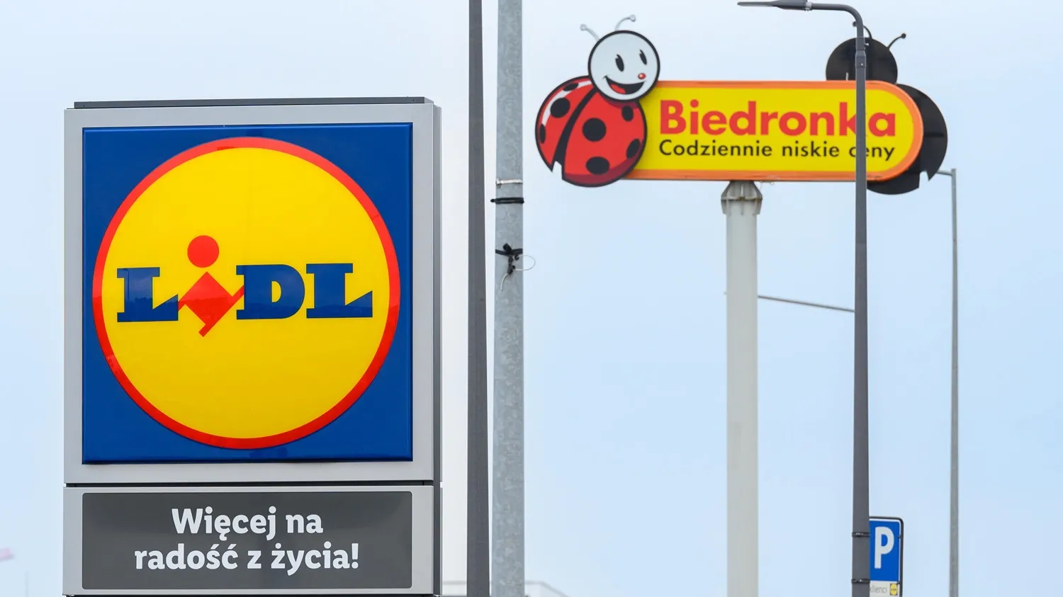 Lidl czy Biedronka? Sprawdziliśmy, gdzie w 2026 roku można zarobić więcej