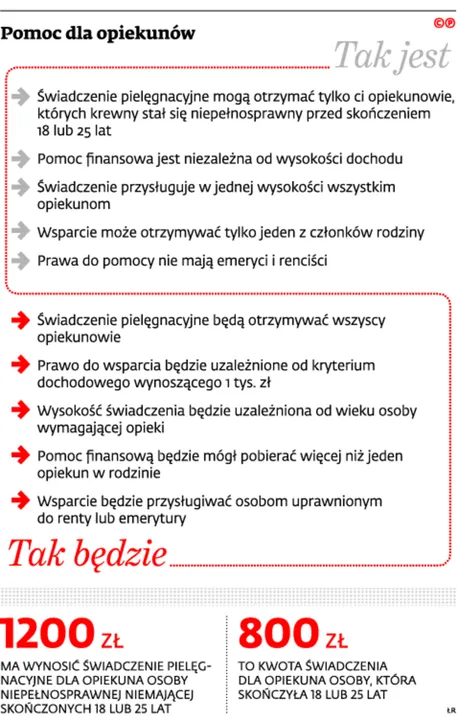 2138670-pomoc-dla-opiekunow.jpg