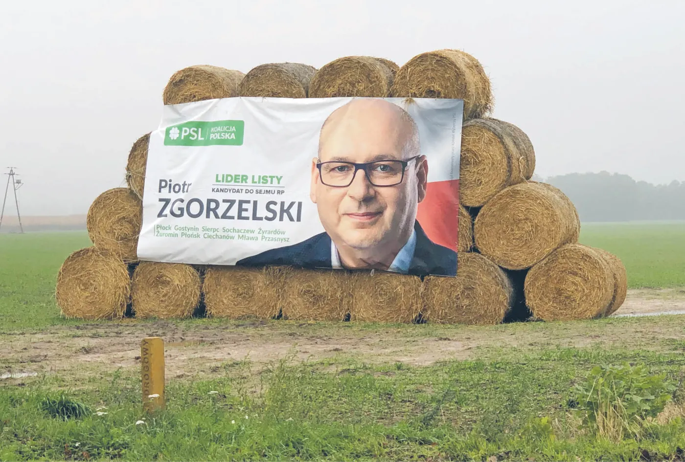 Dziwna wojna, niemrawa kampania. Czego ludzie oczekują od polityki [REPORTAŻ]