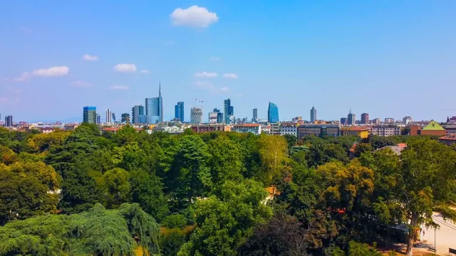 Program drzewa plus, inwestycje minus. Unia chce zazielenić miasta