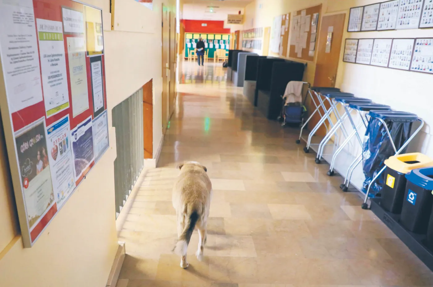 Fundacja Rozwoju Edukacji i Szkolnictwa Wyższego co roku tytuł „Samorządowego Lidera Edukacji” przyznaje ok. 70 gminom