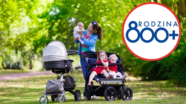 1000 zamiast 800 plus? Polacy zabrali głos w sprawie świadczenia [SONDAŻ]