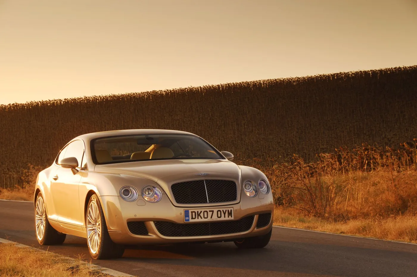 435914-bentley-gtspeed-028-2.jpg