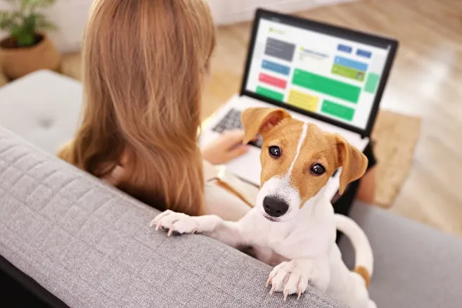 VULCAN w elitarnym gronie 10 firm zintegrowanych z Microsoft Office 365