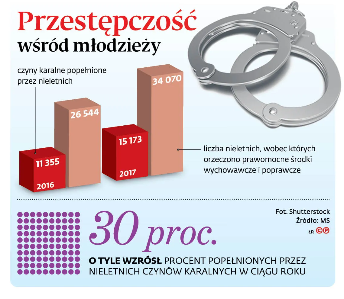 4228397-uf6bb-graf-20b1-20przestepczosc-20wsrod-20mlodziezy-20-p.jpg