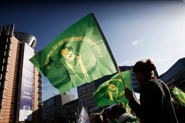 Organizacje społeczne przeciwko umowie UE - Mercosur. "Coraz gorszy poziom ochrony praw człowieka i środowiska"