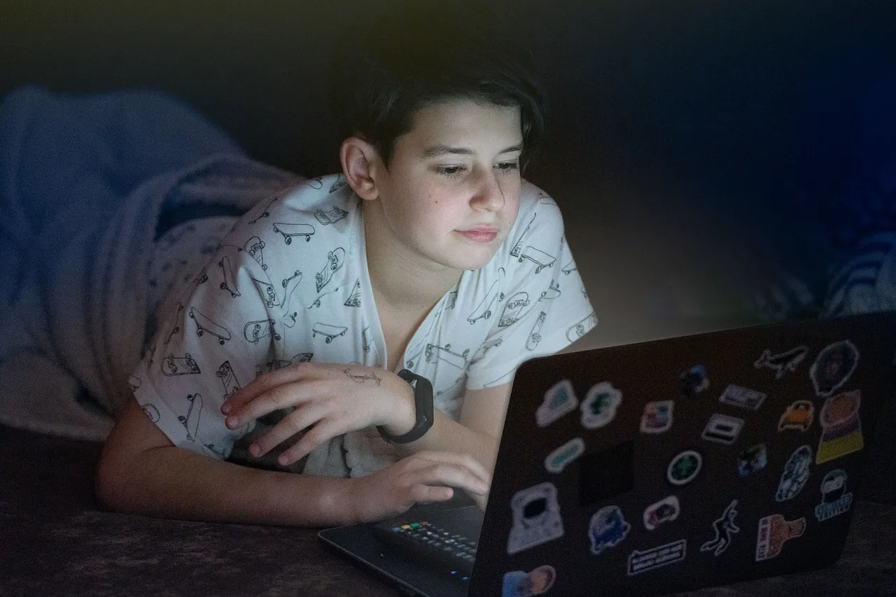 Po wakacjach założenia ustawy o ochronie dzieci w internecie [NEWS DGP]