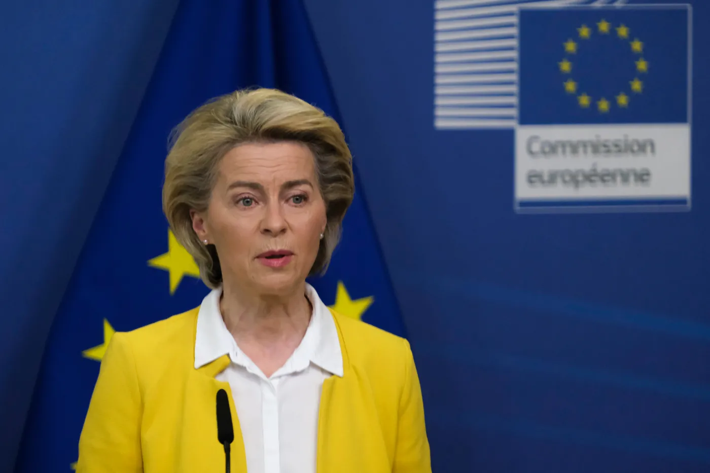 KE pod przewodnictwem von der Leyen stawia na Zielony Ład