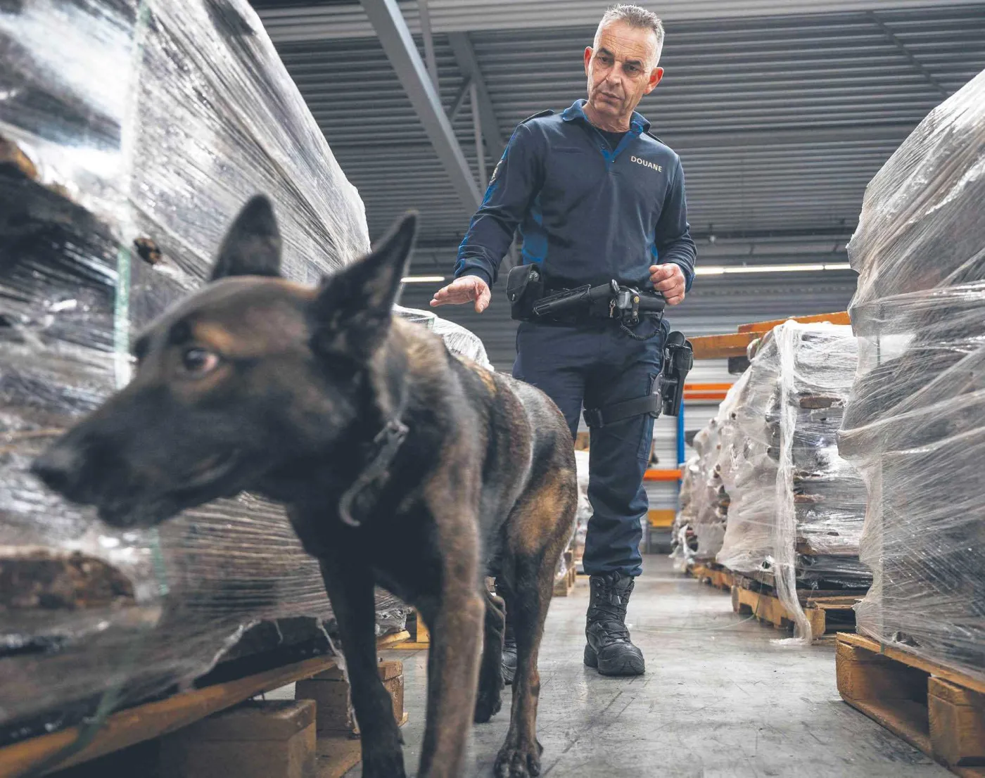 Najbliższe pół roku na walkę z narkotykami
