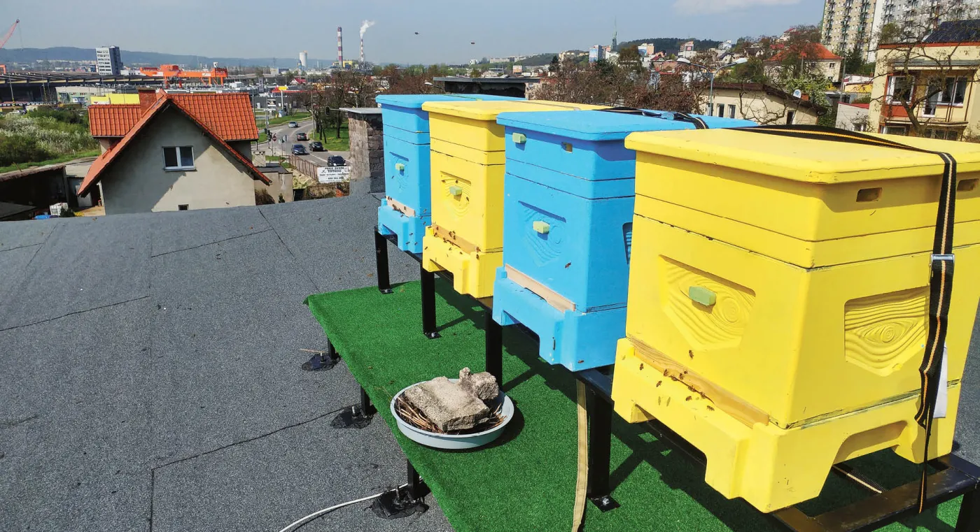 Miasto w zgodzie z naturą już było czy dopiero będzie?