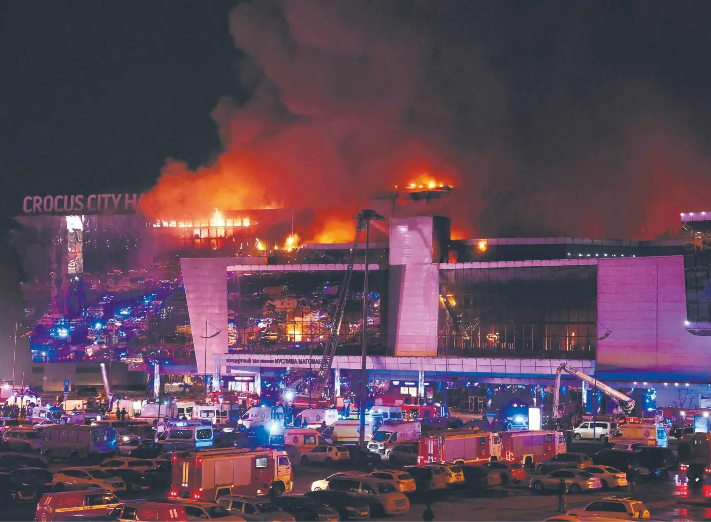 Da’isz szykował się od dawna