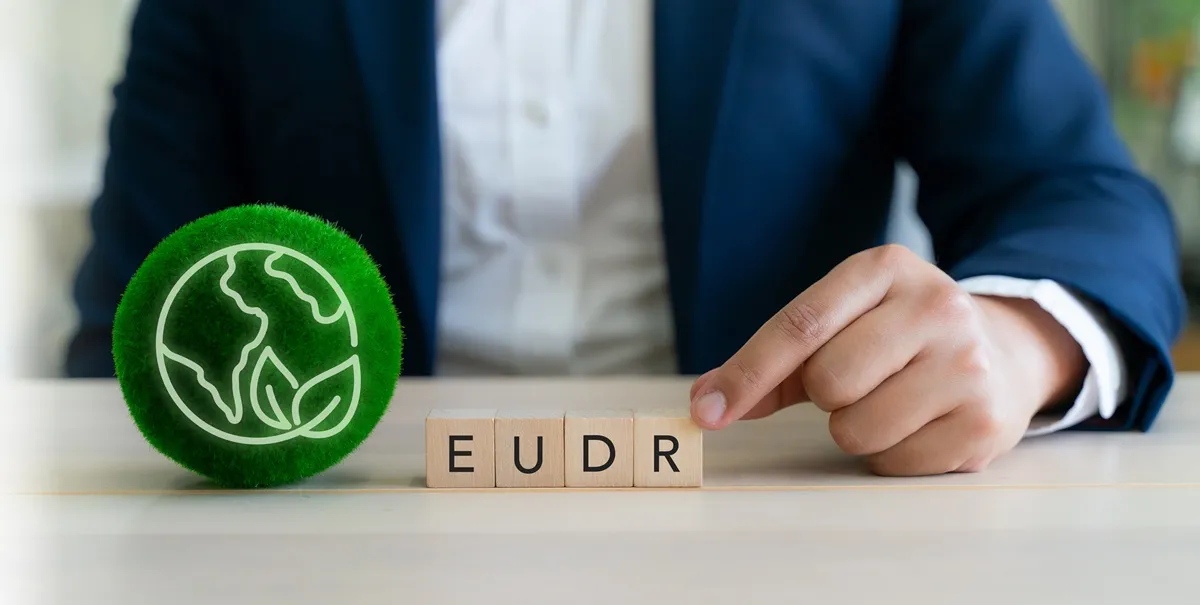 EUDR wchodzi w życie już w grudniu. Komisja Europejska wyjaśnia, czego mogą się spodziewać firmy