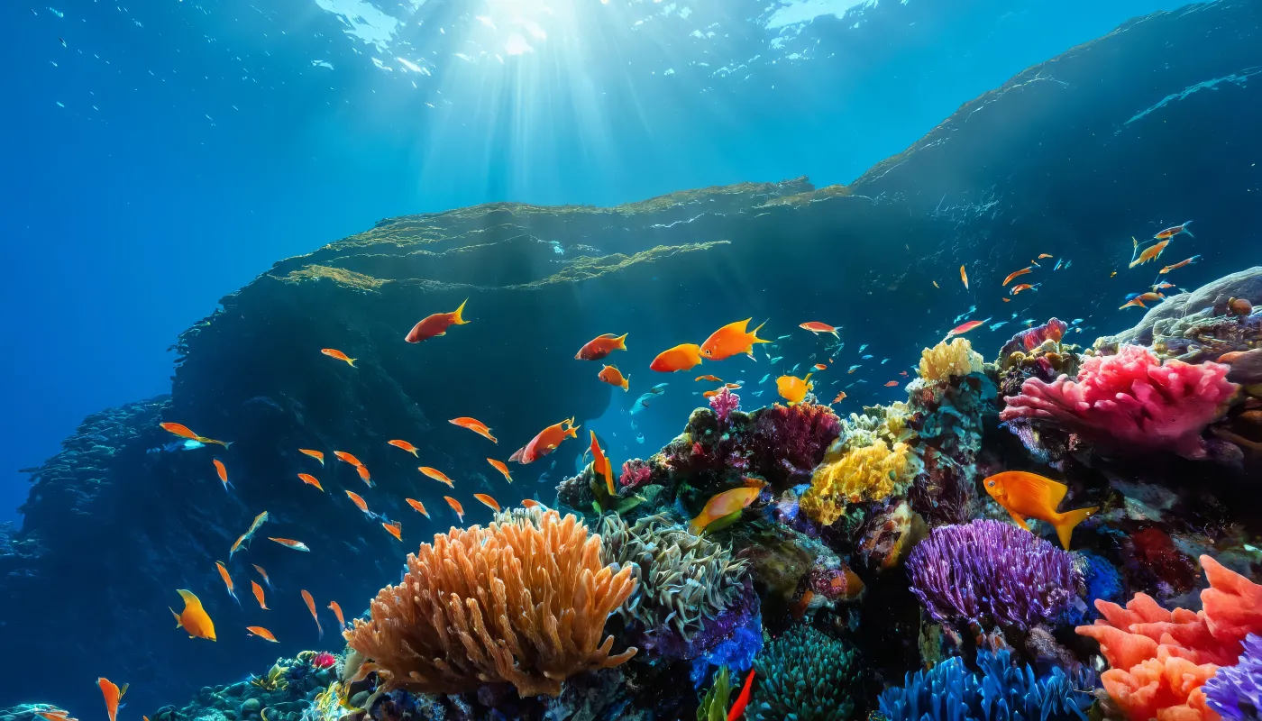 Ośmiornice mają osobowość: Zaskakujące wyniki badań nad zachowaniem głowonogów