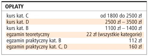 Młodzi kierowcy zawodowi muszą ukończyć kwalifikację wstępną