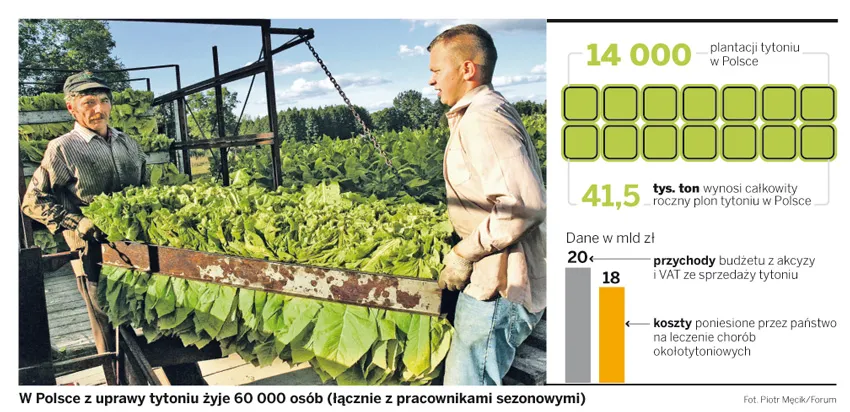 Zakaz stosowania dodatków do papierosów to utrata miejsc pracy dla polskich rolników