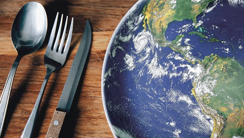 Problem marnowania żywności wymaga kompleksowych regulacji