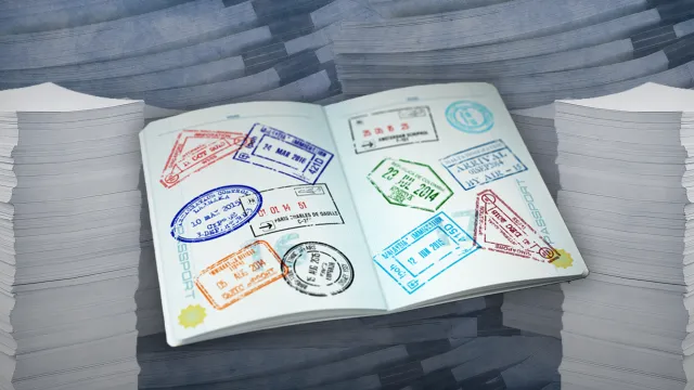 Kierownictwa MSZ i PiS na celowniku komisji śledczej ds. afery wizowej