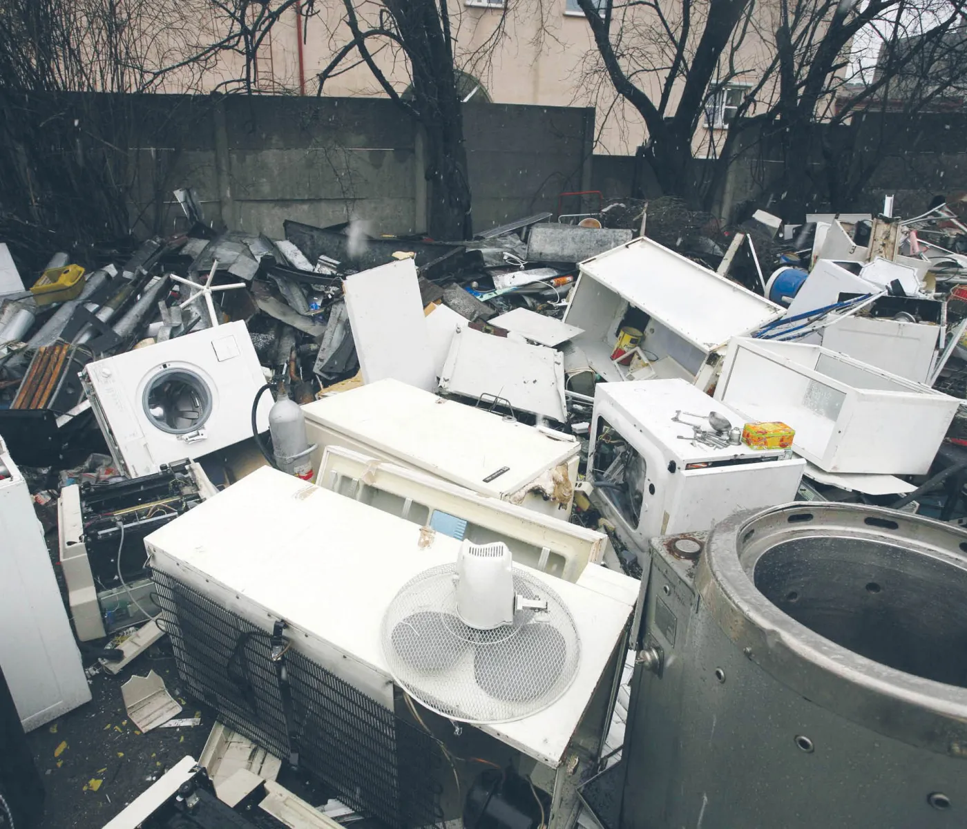 Pomocą może być także brak kary