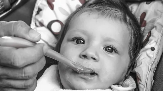 PILNE: Trutka na szczury w słoiczkach z jedzeniem dla dzieci. Popularna marka wycofuje produkty z rynku