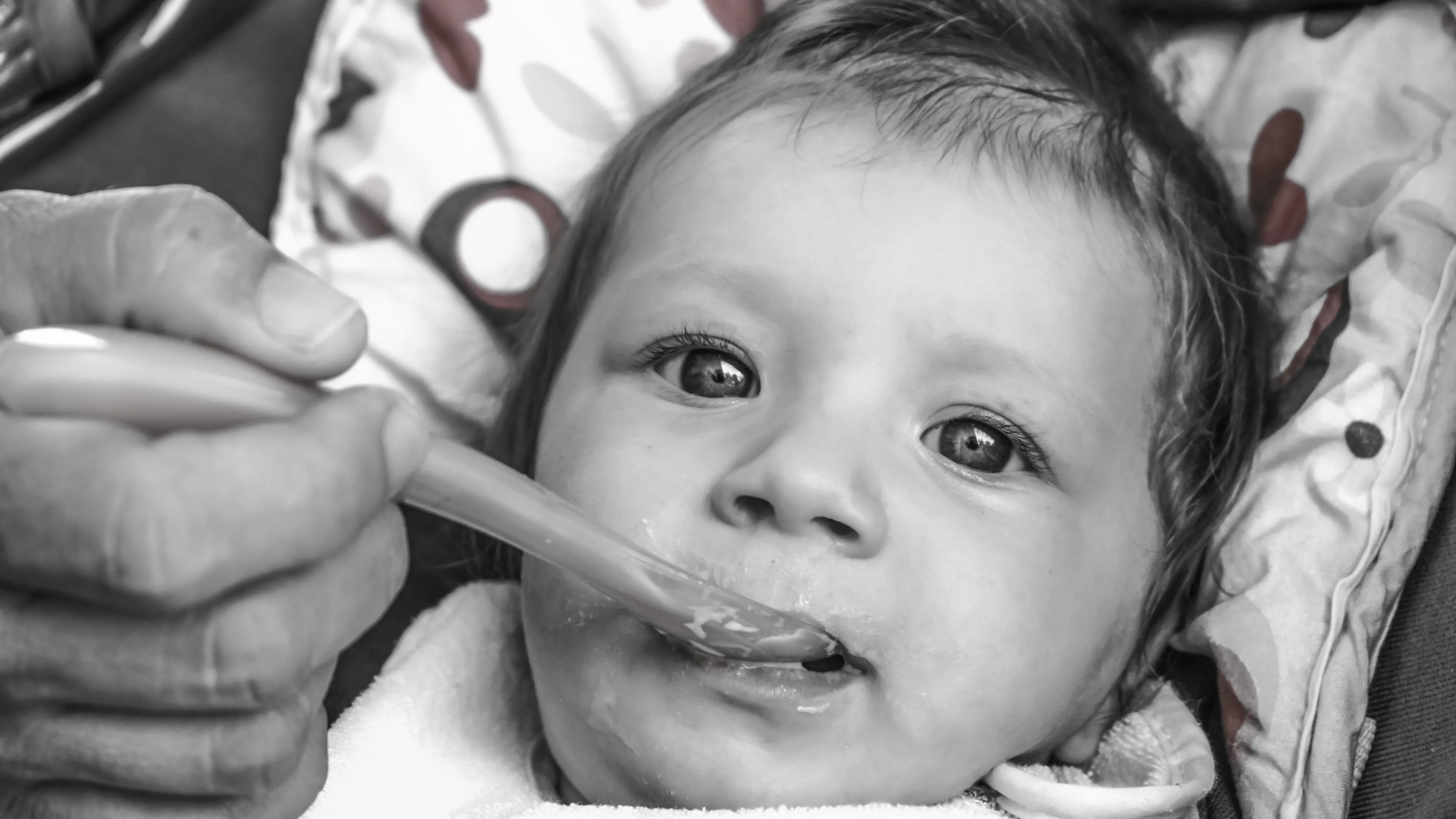 PILNE: Trutka na szczury w słoiczkach z jedzeniem dla dzieci. Popularna marka wycofuje produkty z rynku