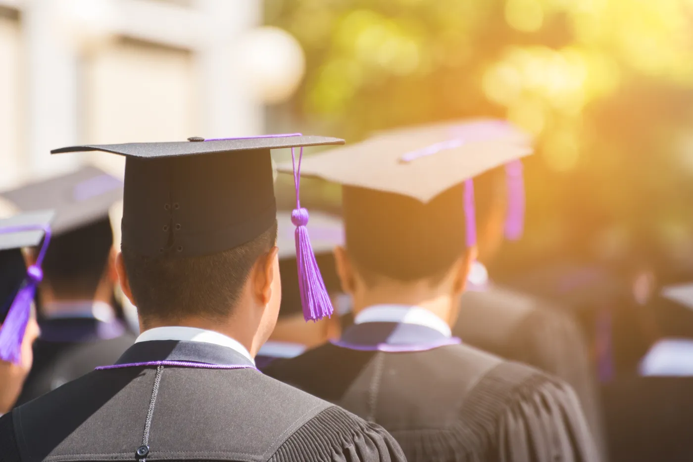 edukacja,, uniwersytet, absolwent