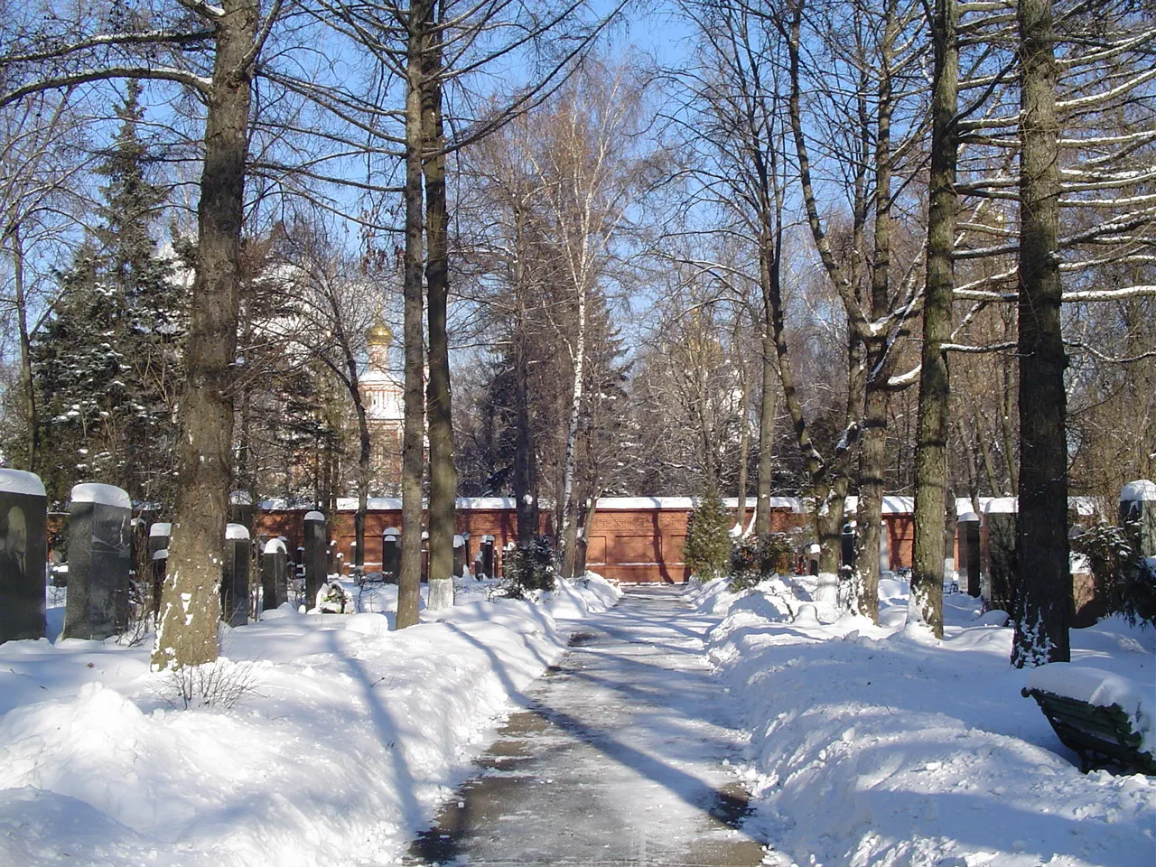 Cmentarz Nowodziewiczy 