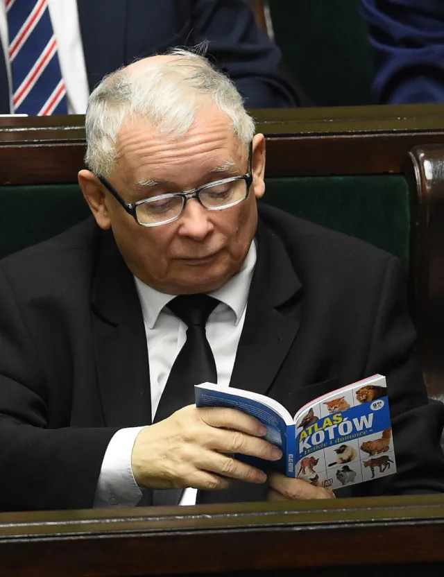 Kaczyński czyta w sejmie książkę o kotach. Rzeczniczka PiS: Niech ta lektura zachęca do wsparcia schronisk