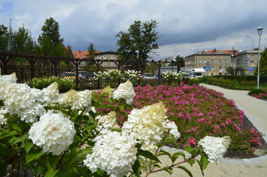 Świebodzice – zielone miasto
